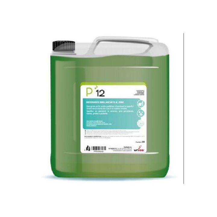 P12 ACQUA MARINA 5LT UNICA