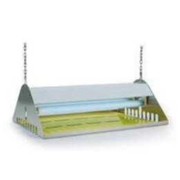 LAMPADA ELETTROINSET 30P ZF002