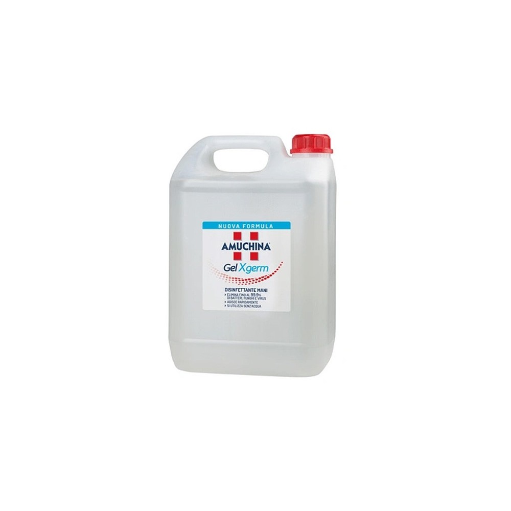AMUCHINA GEL DISINF MANI 5LT