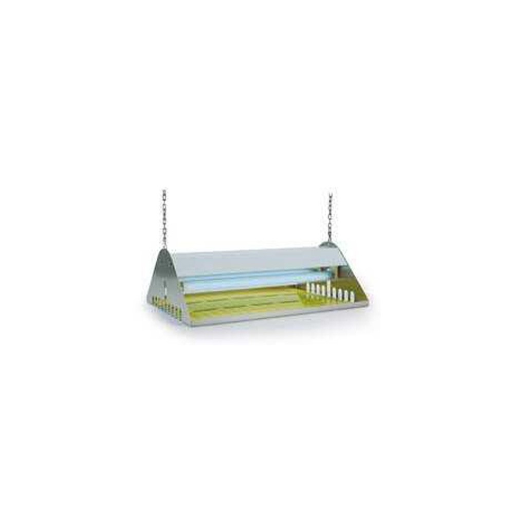 LAMPADA ELETTROINSET 30P ZF002