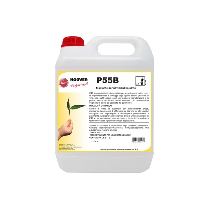 P55B SIGILLANTE 5LT HOOVER