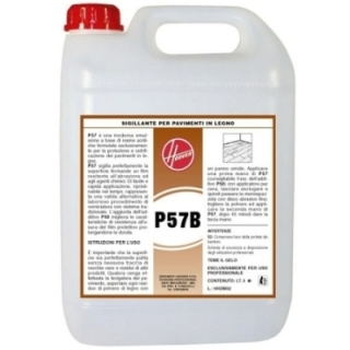 P57B SIGILLANTE LEGNO 5LT