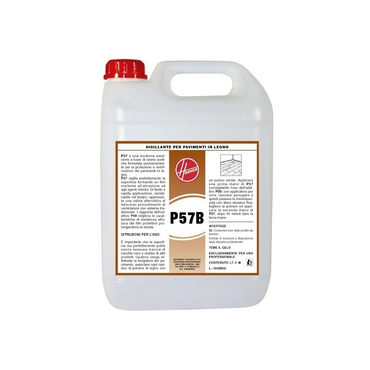 P57B SIGILLANTE LEGNO 5LT