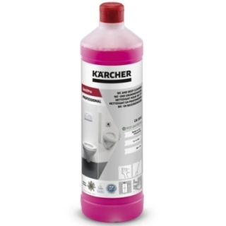 DISINCROST. ACIDO CA 10 C 1LT