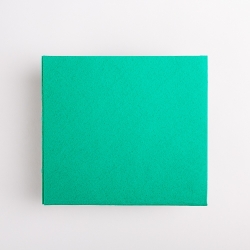 PANNO 36X39 FLIP VERDE