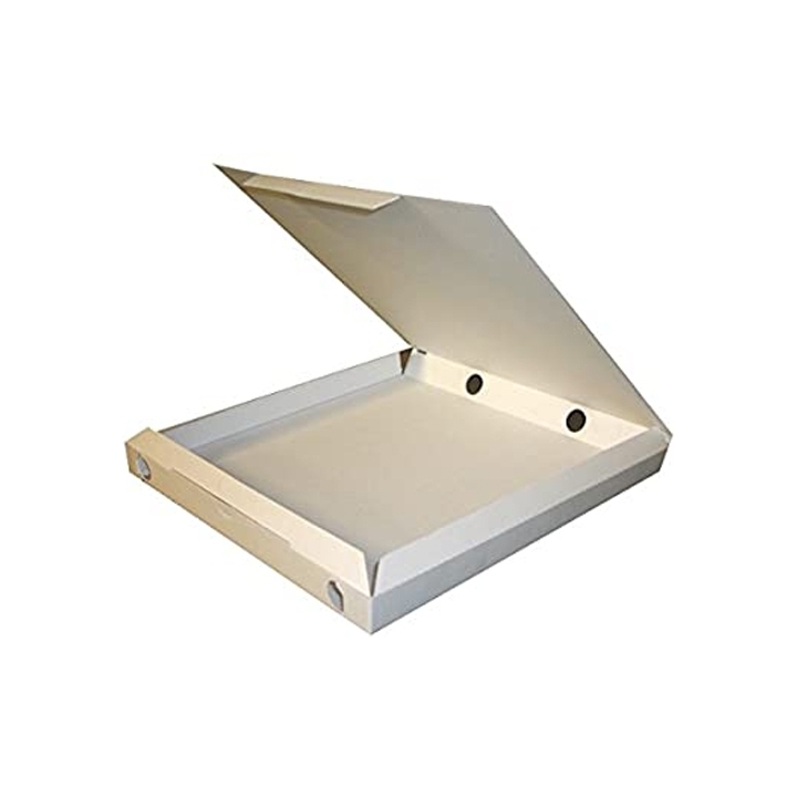 PIZZA BOX 50X50X4 VSV P50