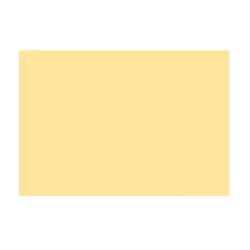 TOVA 100X100 CS CHAMPAGNE 50