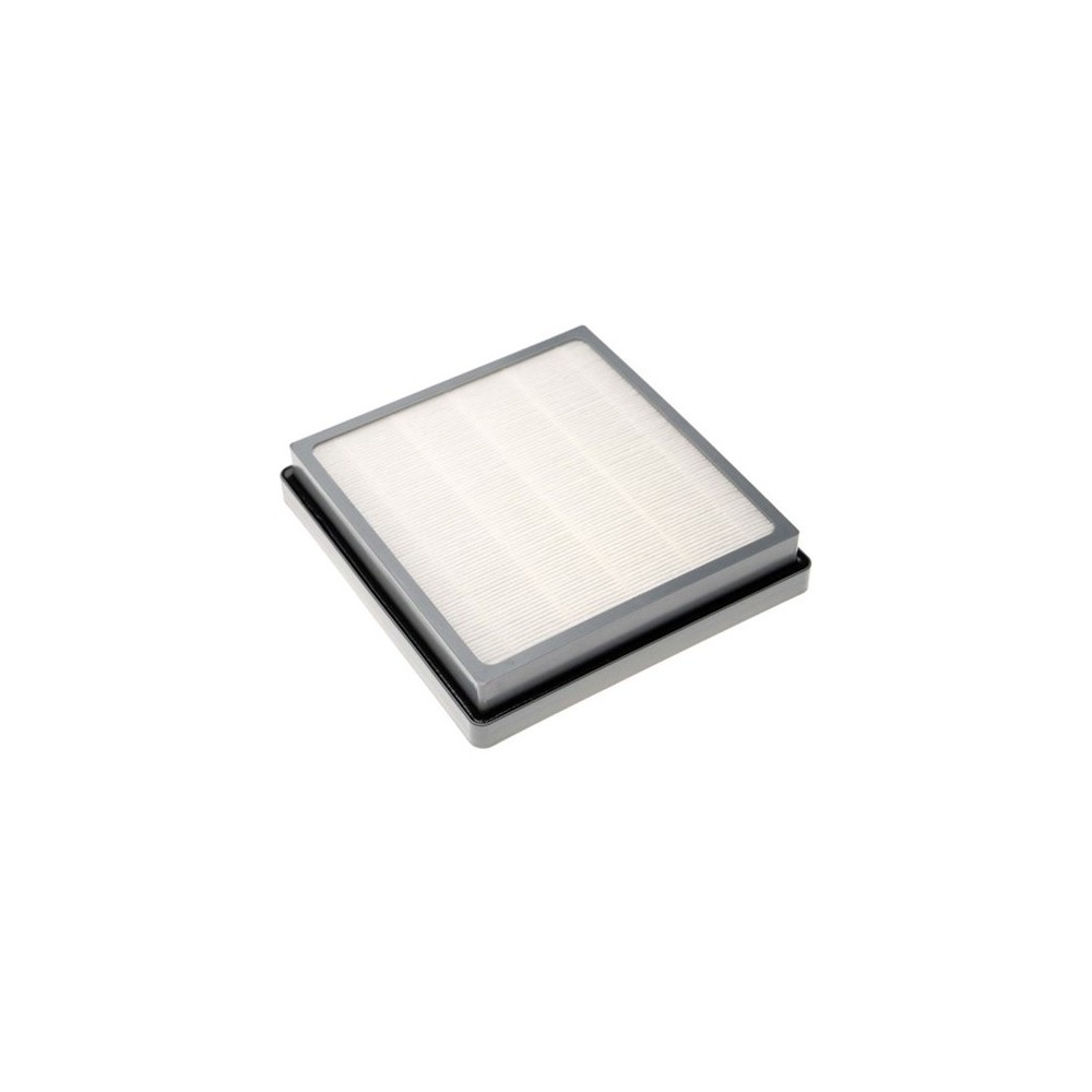 FILTRO HEPA HDS 1005