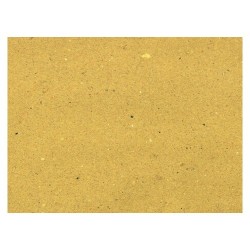 SOTTOFRITTI RET PAGL25X37 2000