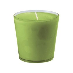 RIC CAND SWITCH&SHINE KIWI P6