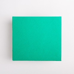 VILEDA PANNO FLIP VERDE 36X39