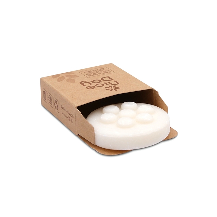 SAPONE NICE DAY G20 CT P500