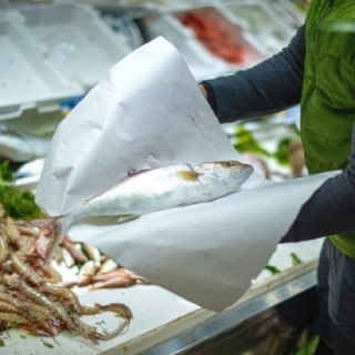 CARTA VEGETALE 18X25 10KG