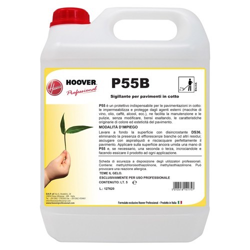 P55B SIGILLANTE 5LT HOOVER