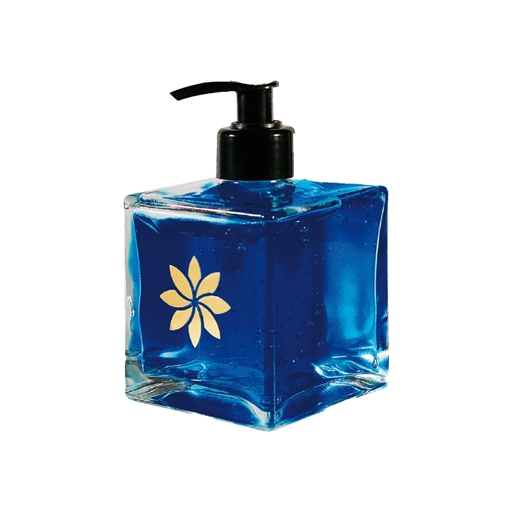 GEL MANI BLU IG 250 ML
