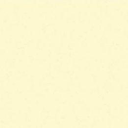 TOVA 30X40 PLUS CHAMPAGNE P200