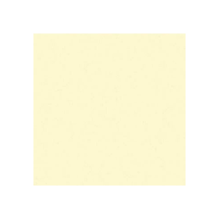 TOVA 30X40 PLUS CHAMPAGNE P200