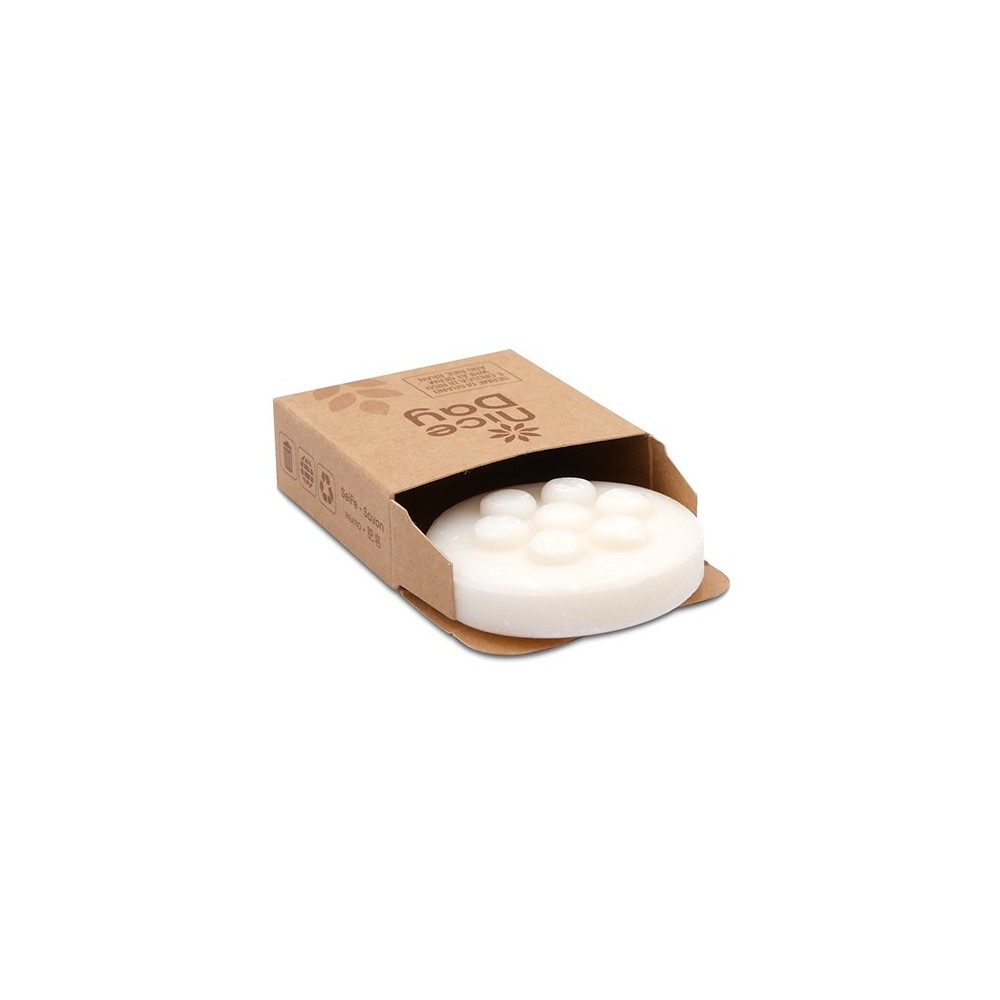 SAPONE NICE DAY G20 CT P500