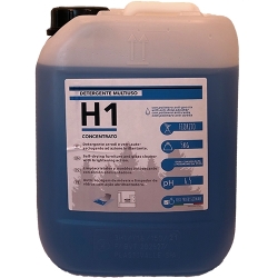 H1 CONC MULTIUSO 5KG