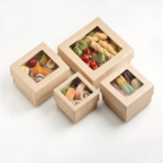 BOX FINESTRA 10X10X4 P25