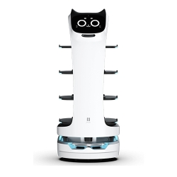 ROBOT CAT BOT