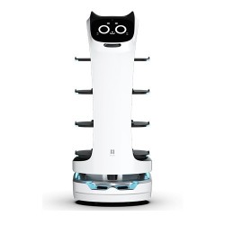 ROBOT CAT BOT