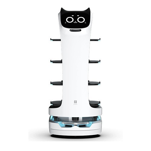 ROBOT CAT BOT