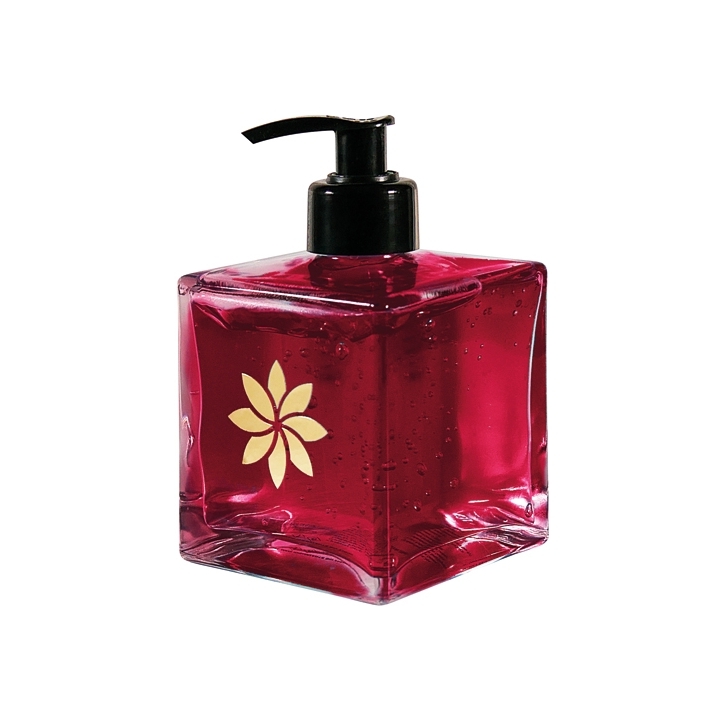 GEL MANI ROSSO IG 250 ML