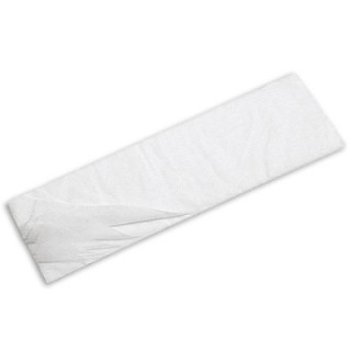 PANNO SECCO 60X20 P100