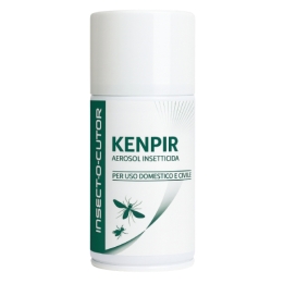 KENPIR INSETTICIDA AER 250ML