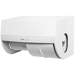 DISP IG 2RT ORIZ CWS PARADISE