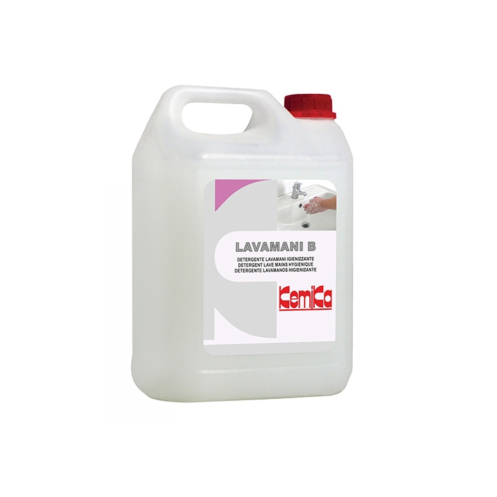 SAPONE LAVAMANI B 5KG