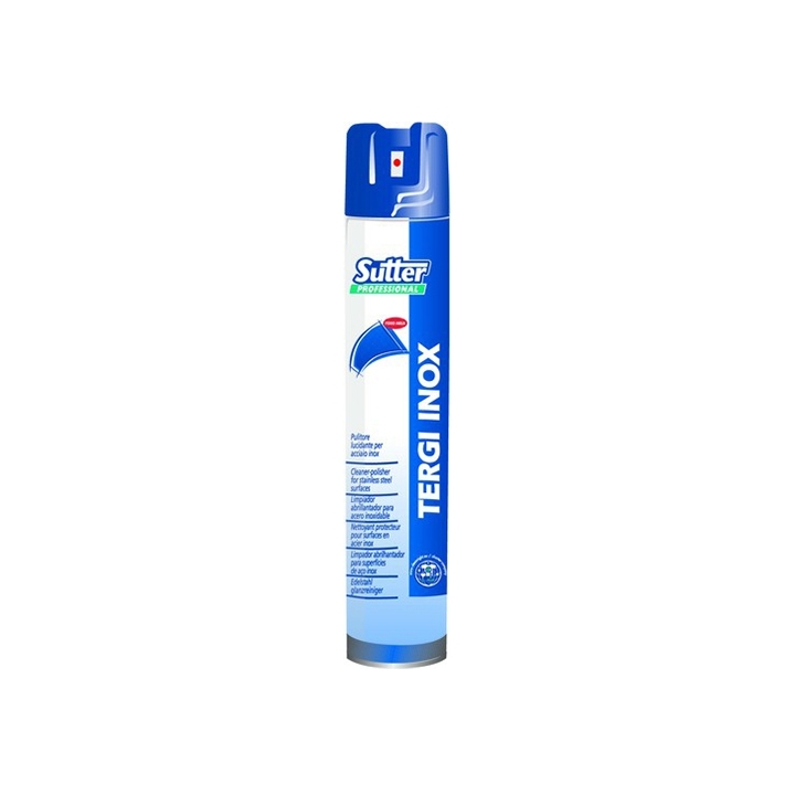 TERGI INOX SPRAY 500ML