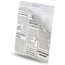 SAC PANINO 15X20 JOURNAL P1000