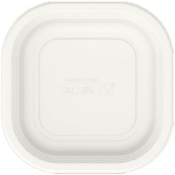 VASCH BIO 18X18 500ML P125