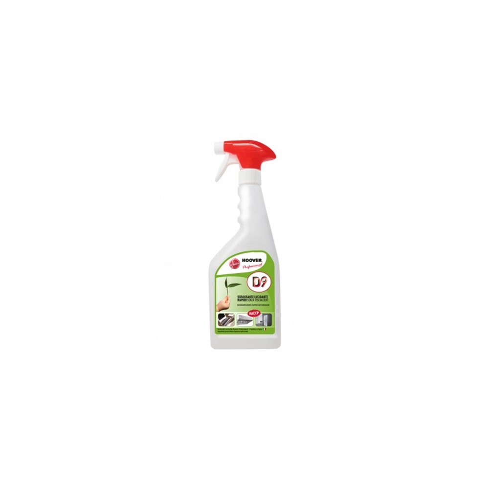 D9 DETERGENTE 750ML HOOVER