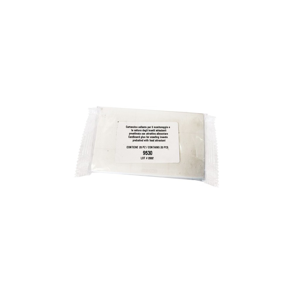 CARTONCINO COLLANTE X 31092070 CARTONCINO COLLANTE X 31092070