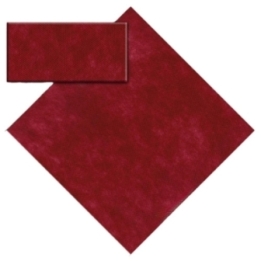 TOVA 100X100 TNT BORDX P25